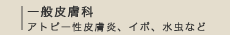��ʔ畆��