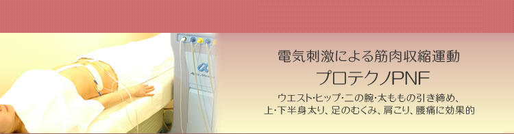 �d�C�h���ɂ��ؓ����k�^���`�v���e�N�mPNF