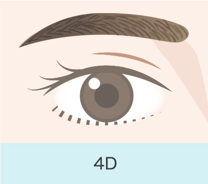 4D